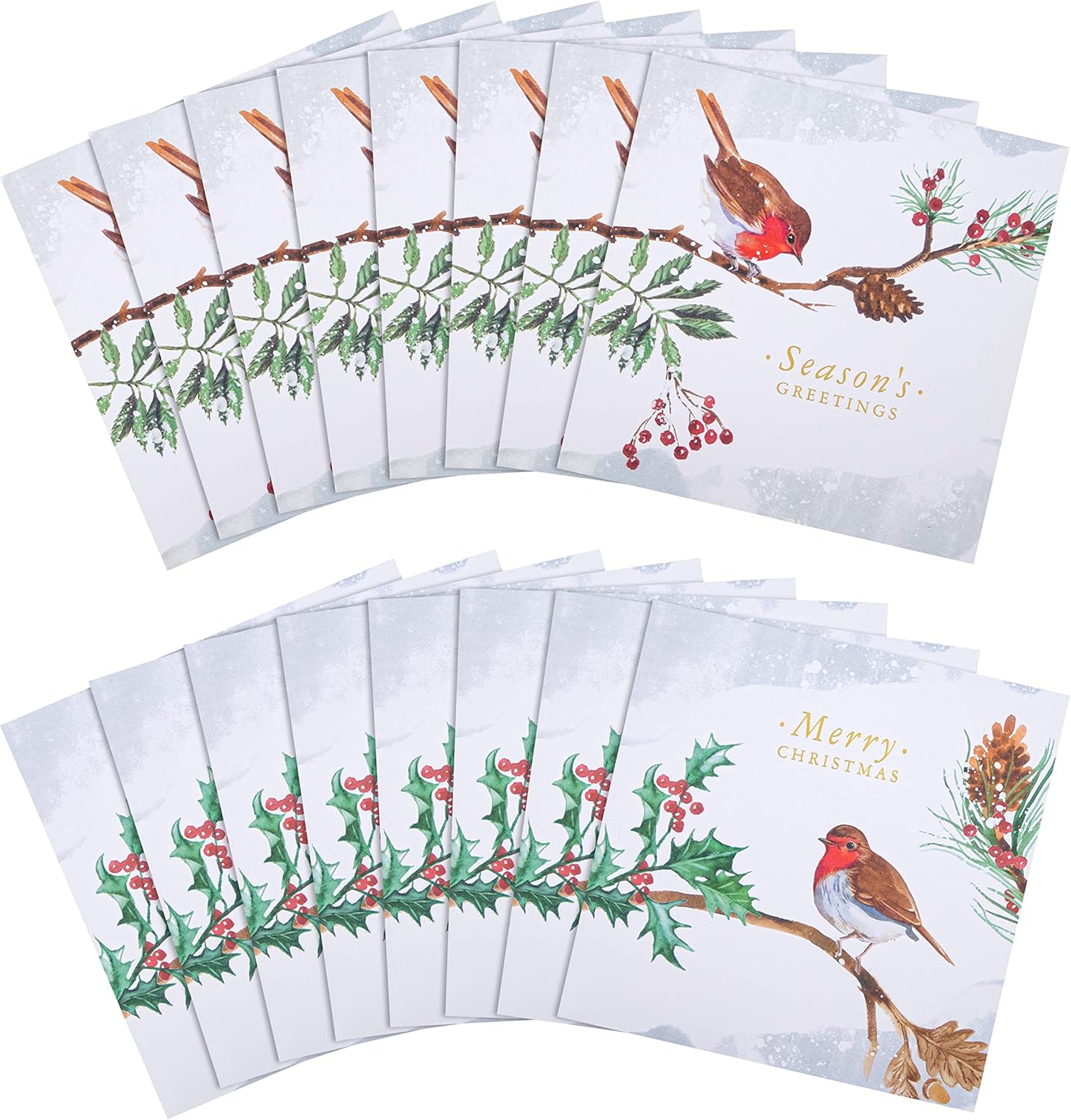 Traditional Robin Designs Pack of 16 Charity Christmas Card