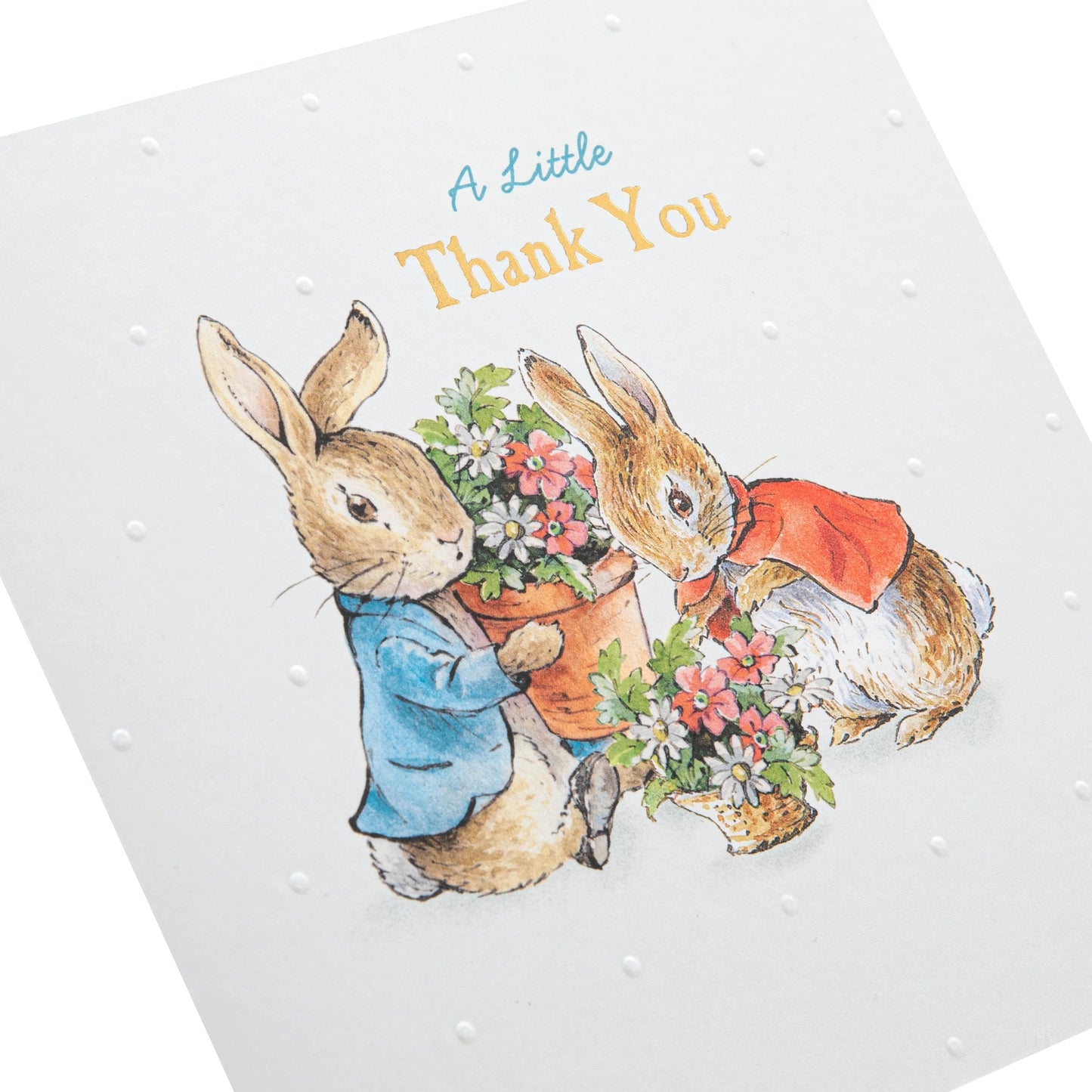 Beatrix Potter's Peter Rabbit Design Thank You Card