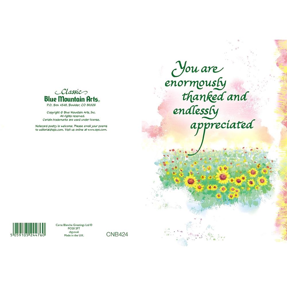 You Are Thanked And Endlessly Appreciated Sentimental Verses Keepsake Greeting Card