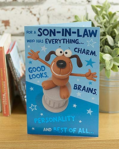 Hanson White Son-in-Law Birthday Card Funny