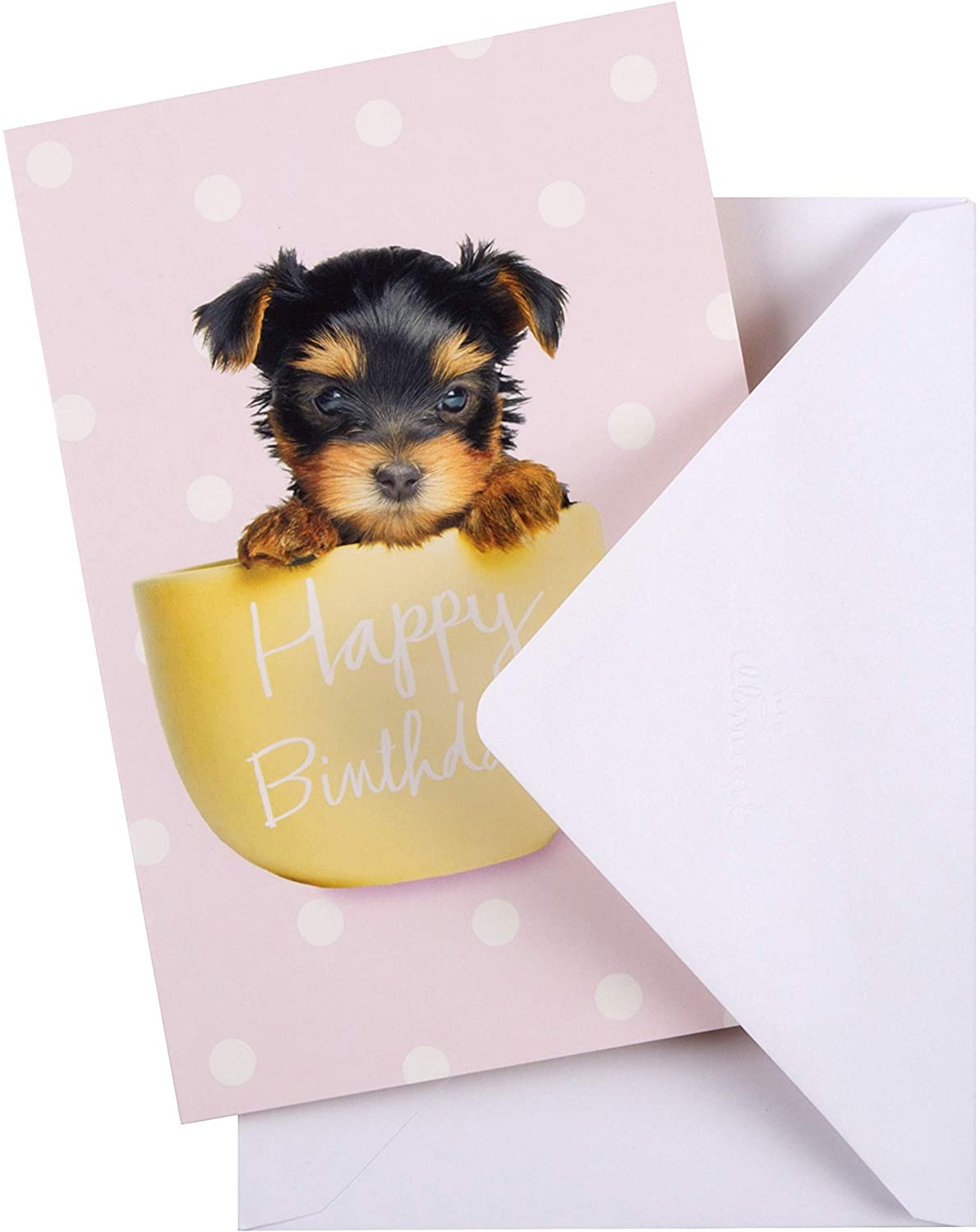 For Female Cutest Photographic Design Birthday Card