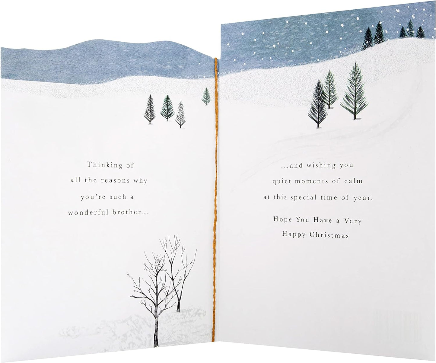 Traditional Illustrated Design Brother Christmas Card