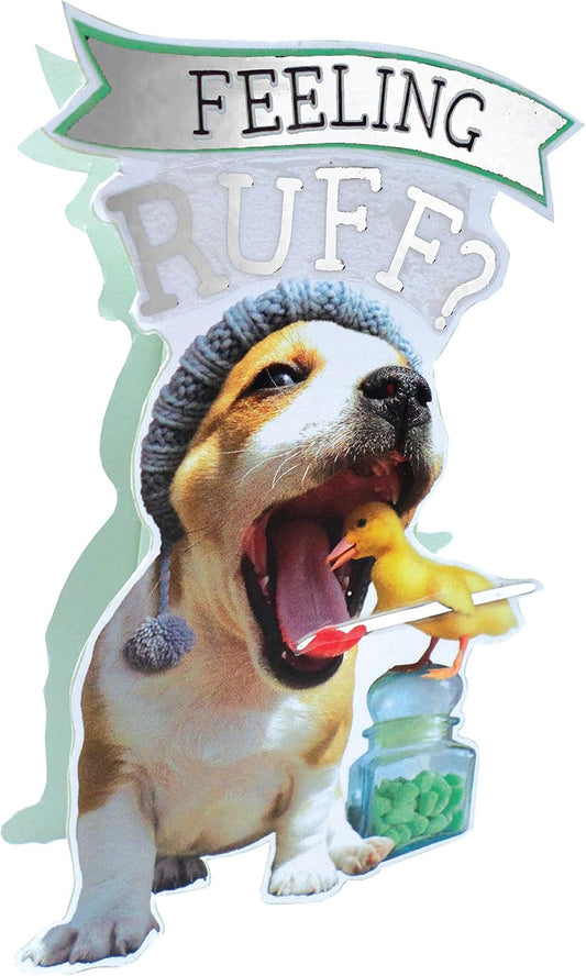 Get Well Soon Feeling Ruff 3D Glitter Finished Card