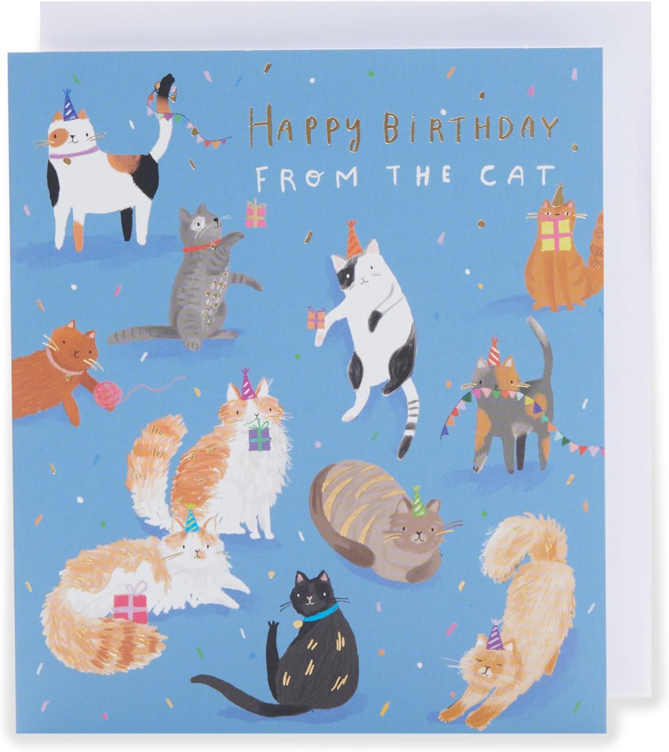 From The Cat Cute Design Birthday Card