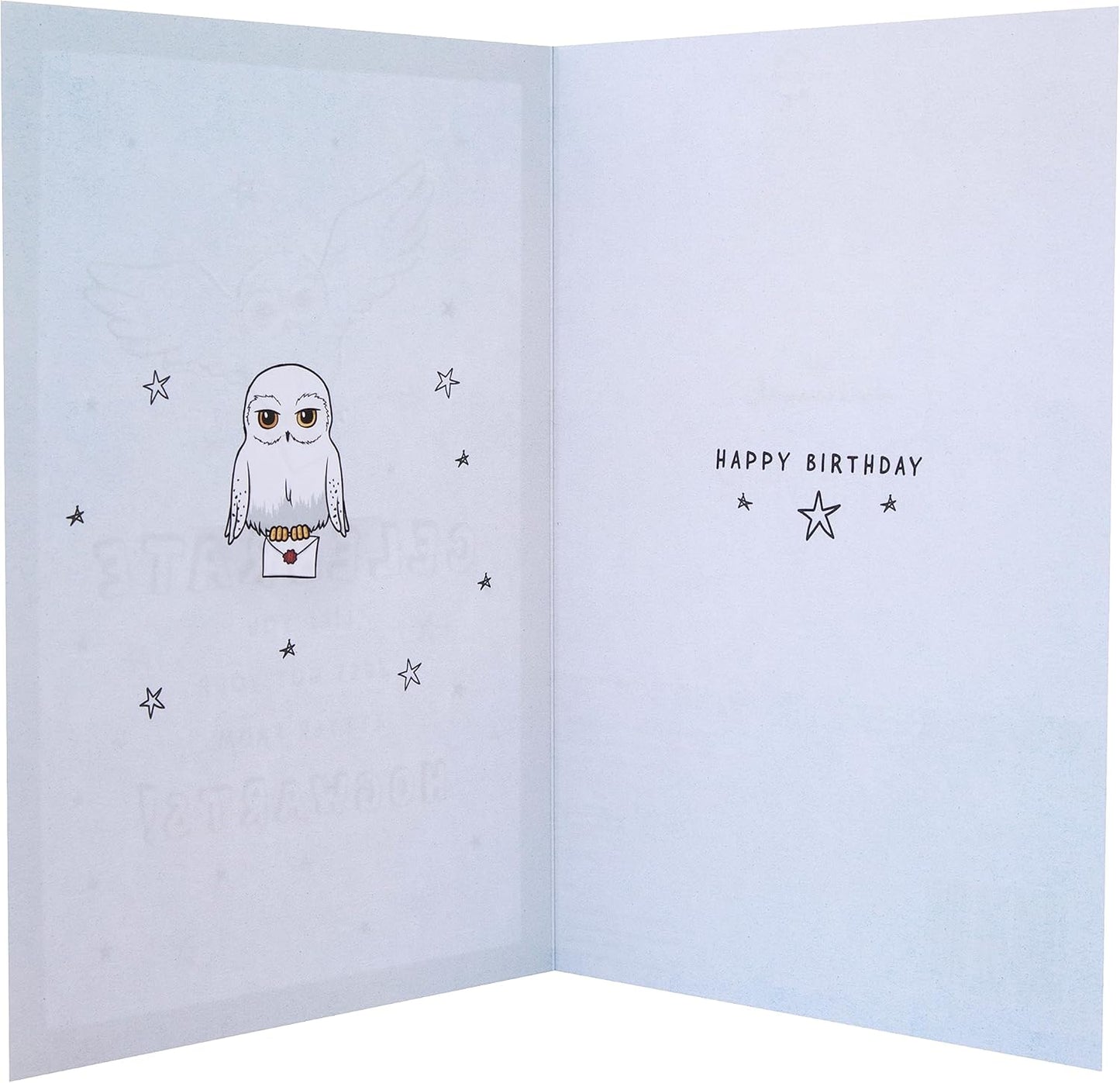 Harry Potter Hedwig Owl & Letter Design Birthday Card