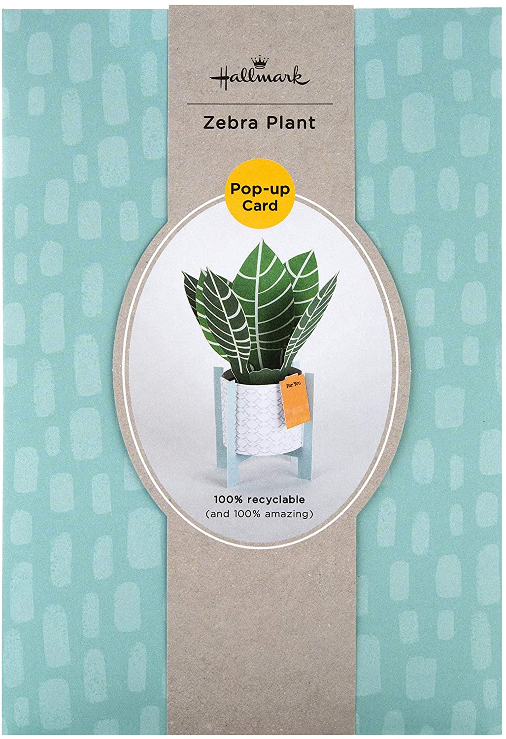 Contemporary Zebra Plant Design Pop Up Card