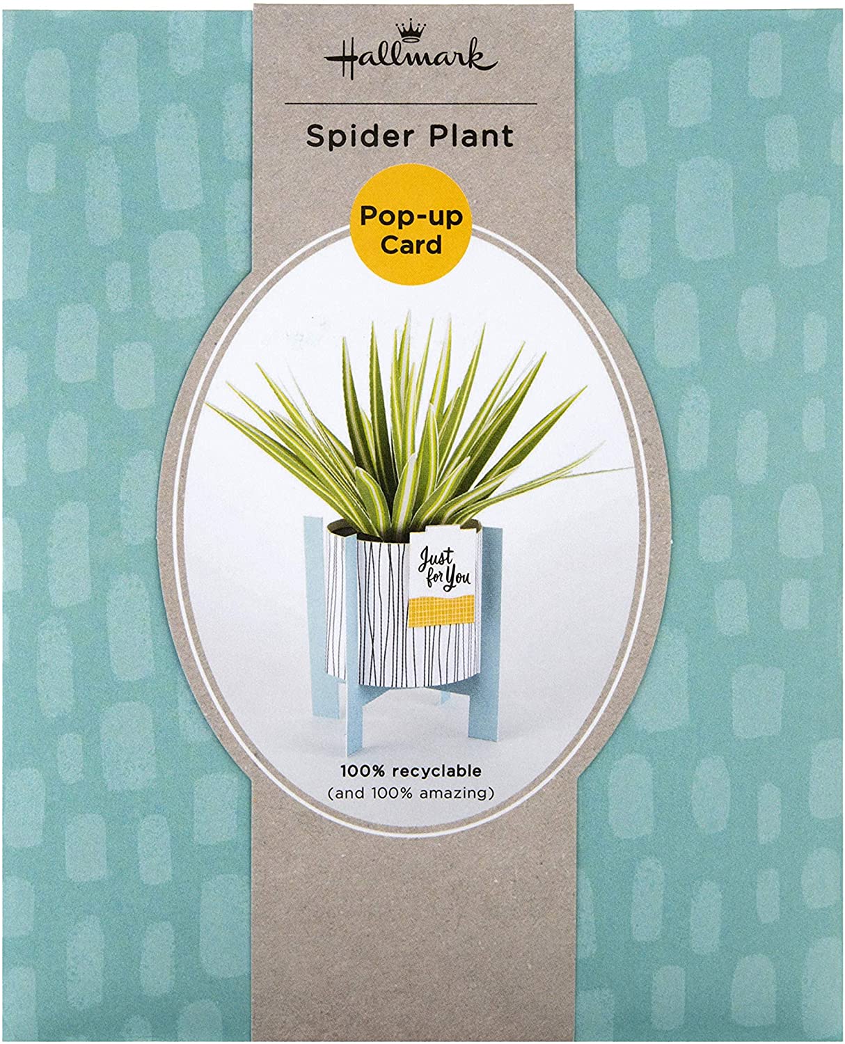 Contemporary Spider Plant Design Pop Up Card