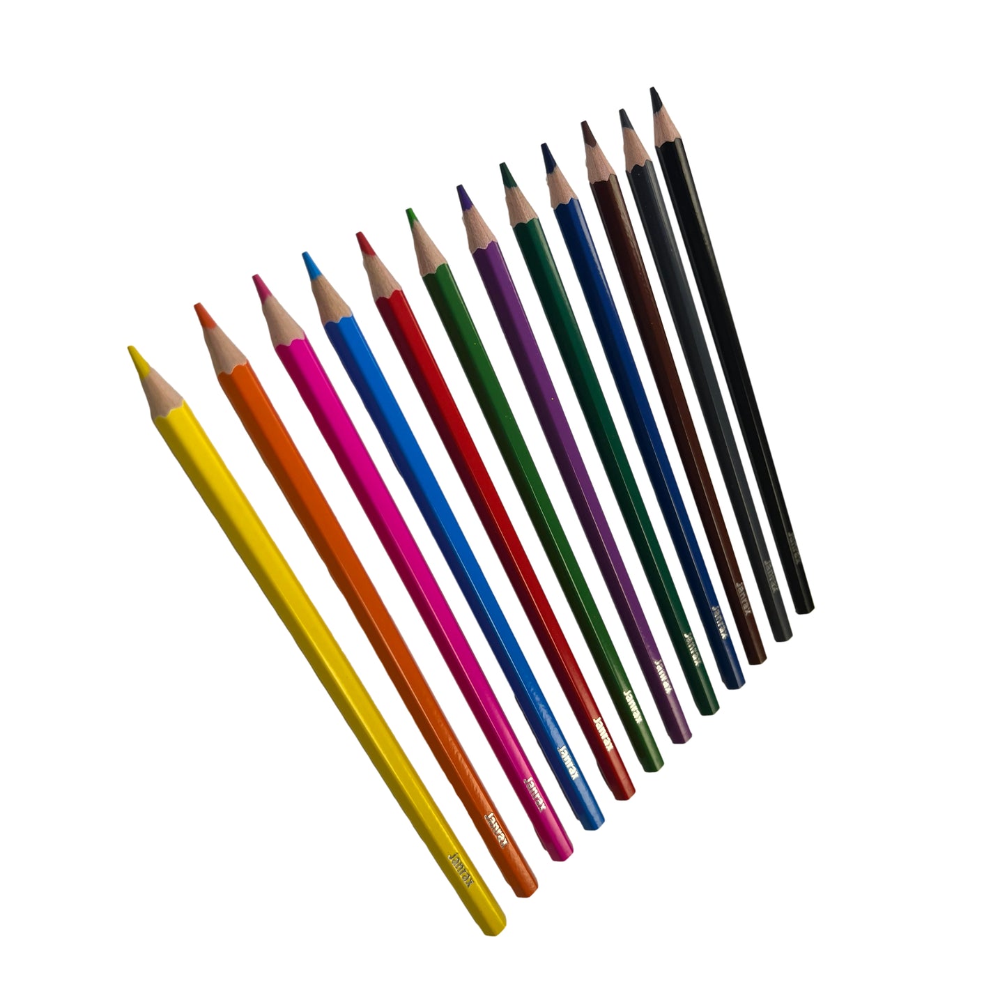 Pack of 144 Classroom Colouring Pencils by Janrax