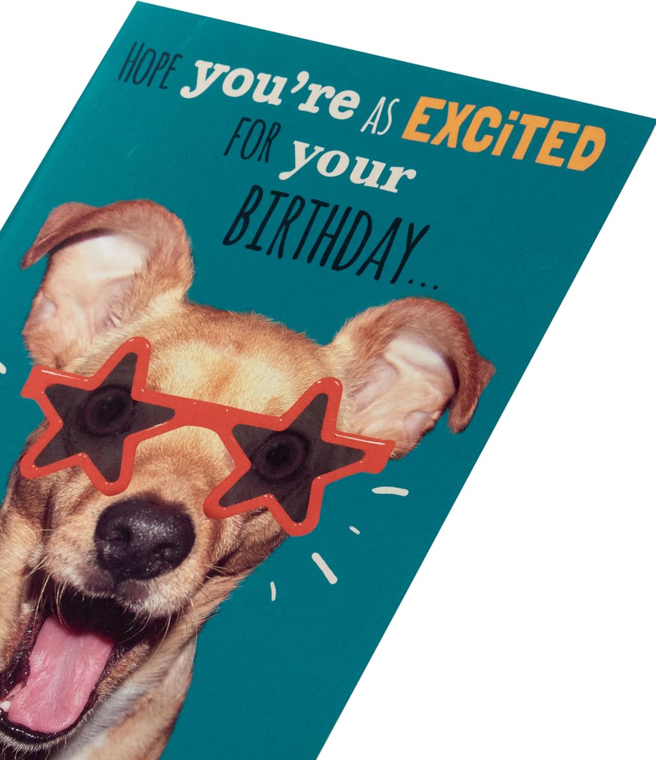 Funny Dog In Sunglasses Birthday Card