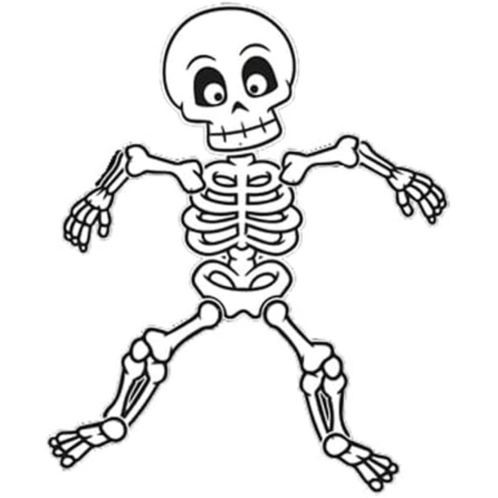 Jointed Halloween Skeleton Decoration 144cm