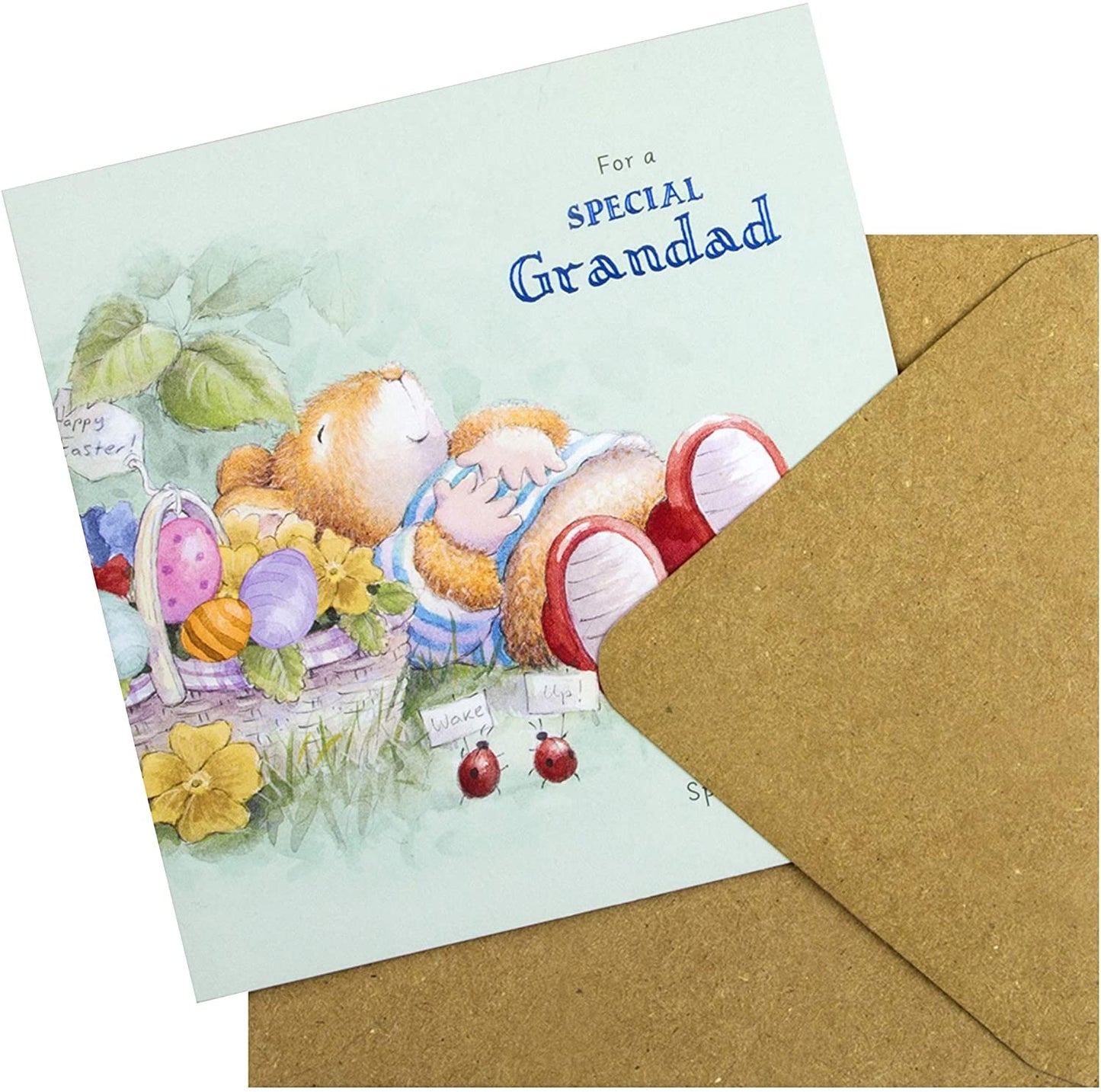 Special Grandad Cute Country Companions Design Easter Card