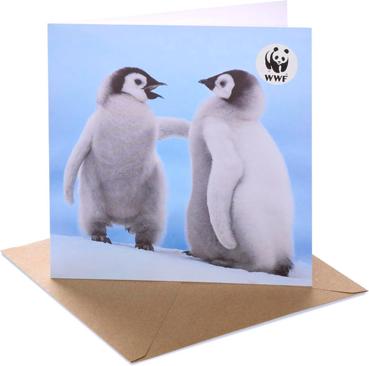 Photographic Penguins Design Open Blank Birthday Card