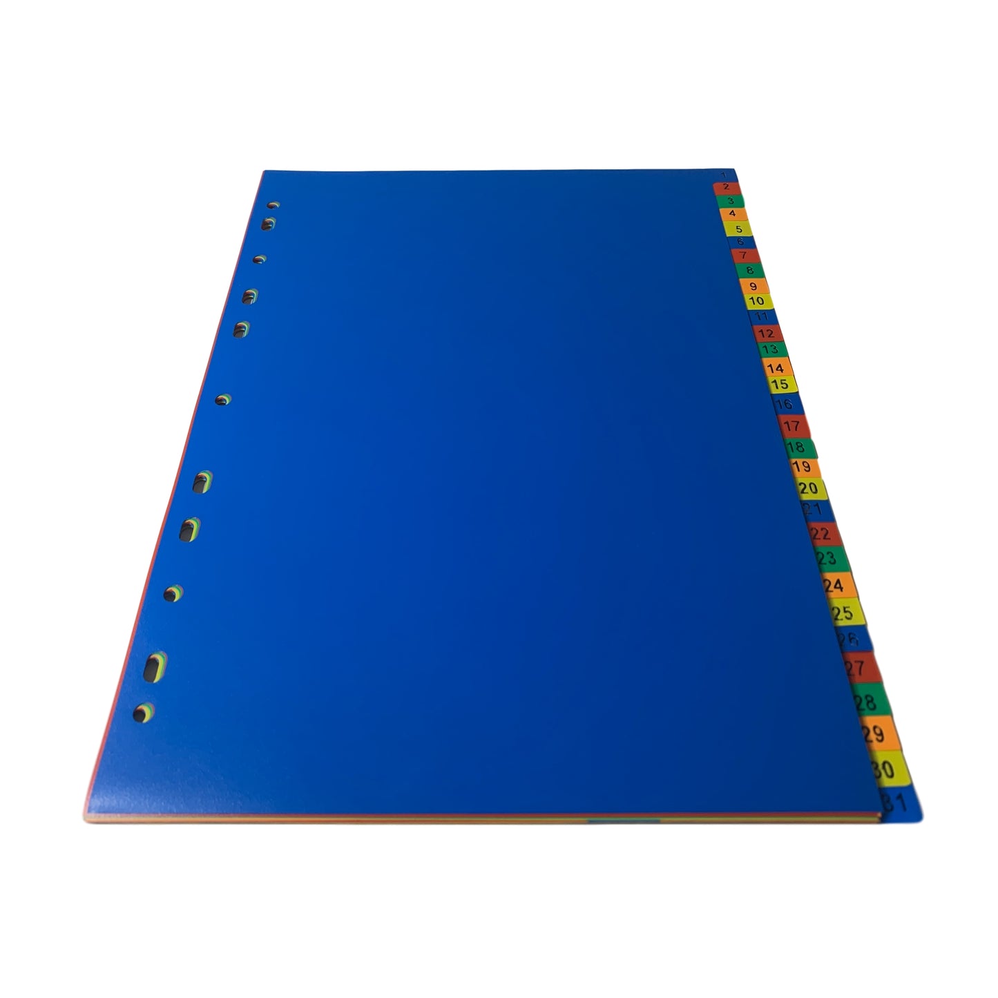 A4 31 Part Polypropylene Dividers with Reinforced Index Cover