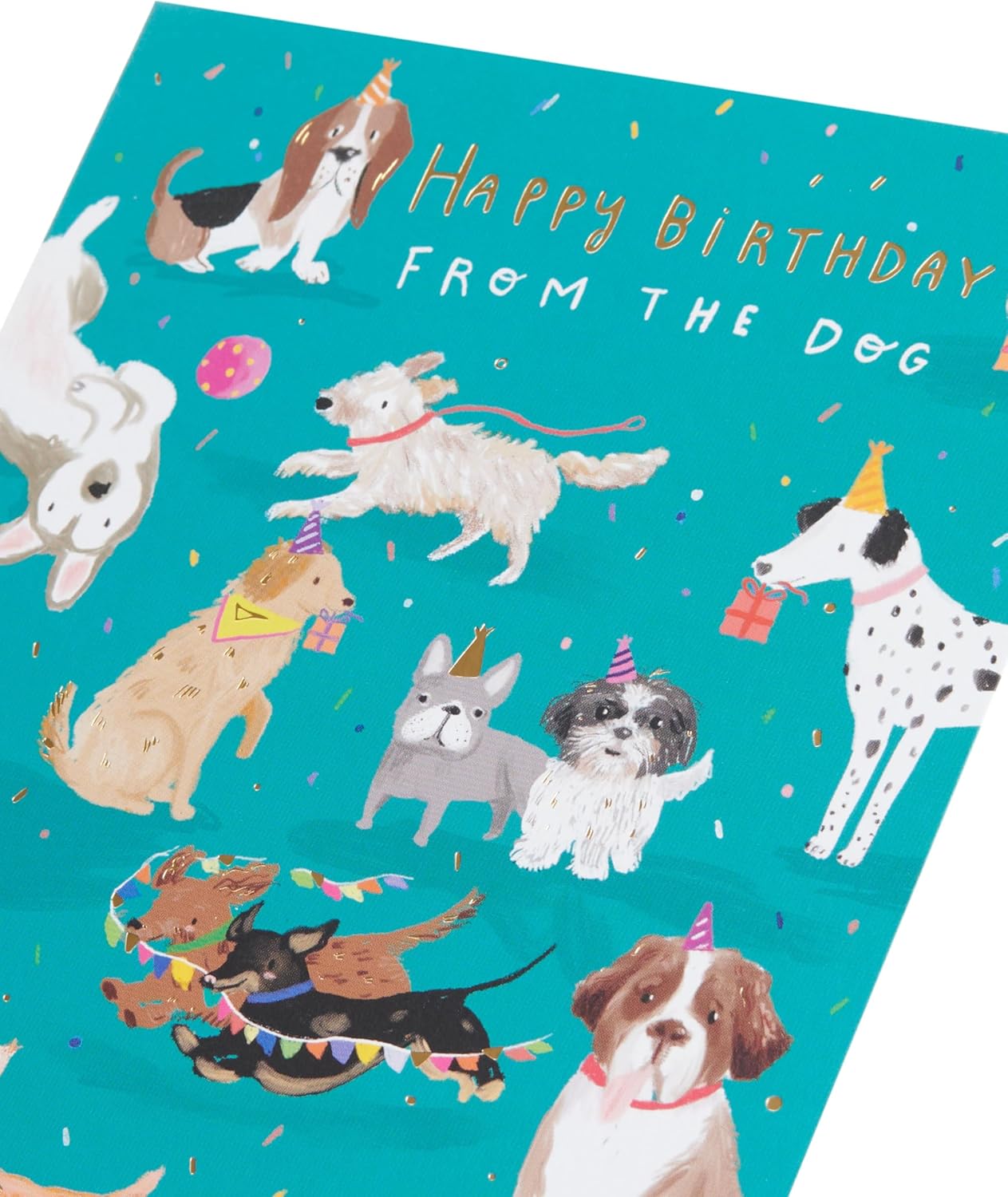 From The Dog Cute Design Birthday Card