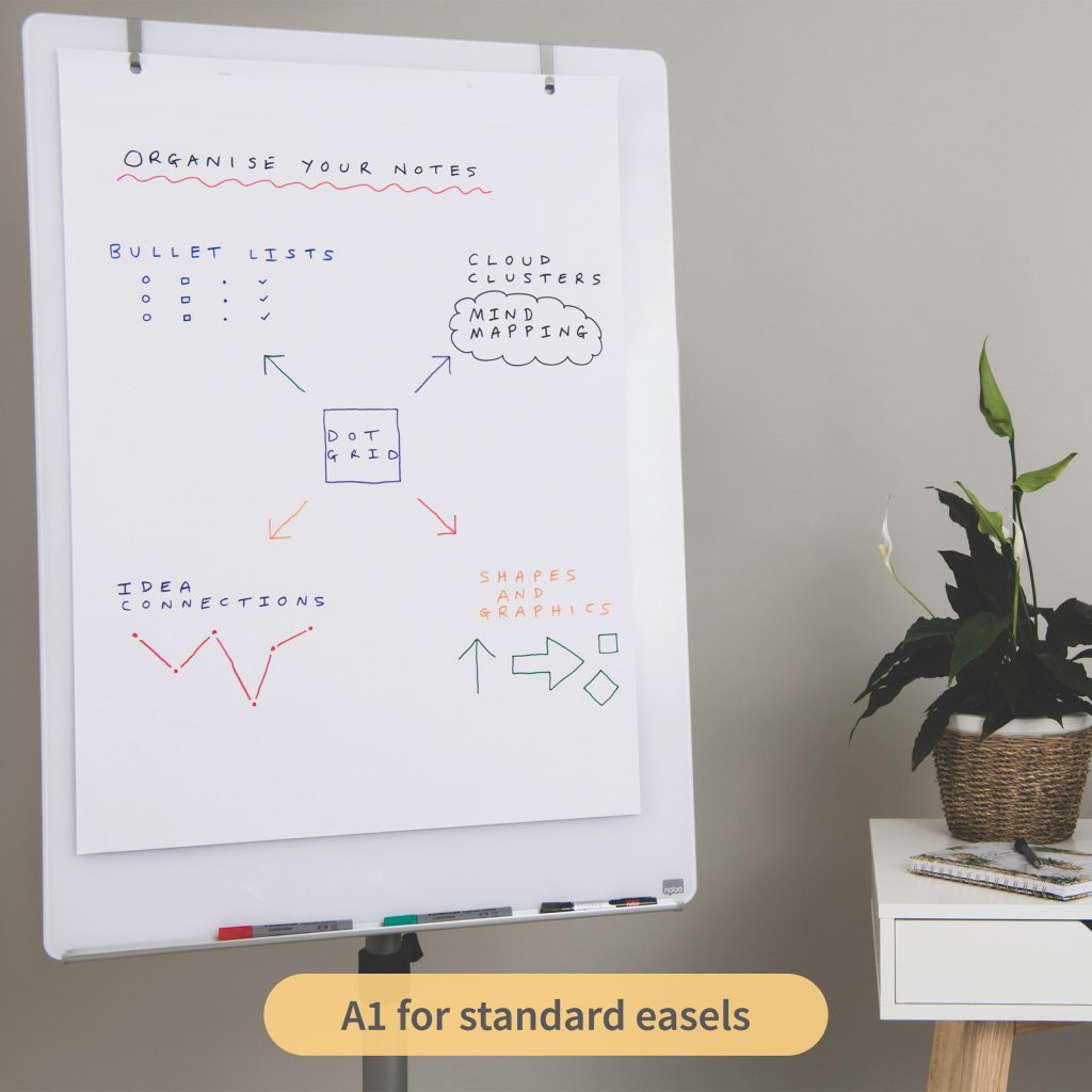 Rhino A1 Educational Dotted 30 Leaf 20mm Dotted with Plain Reverse Flip Chart Pad