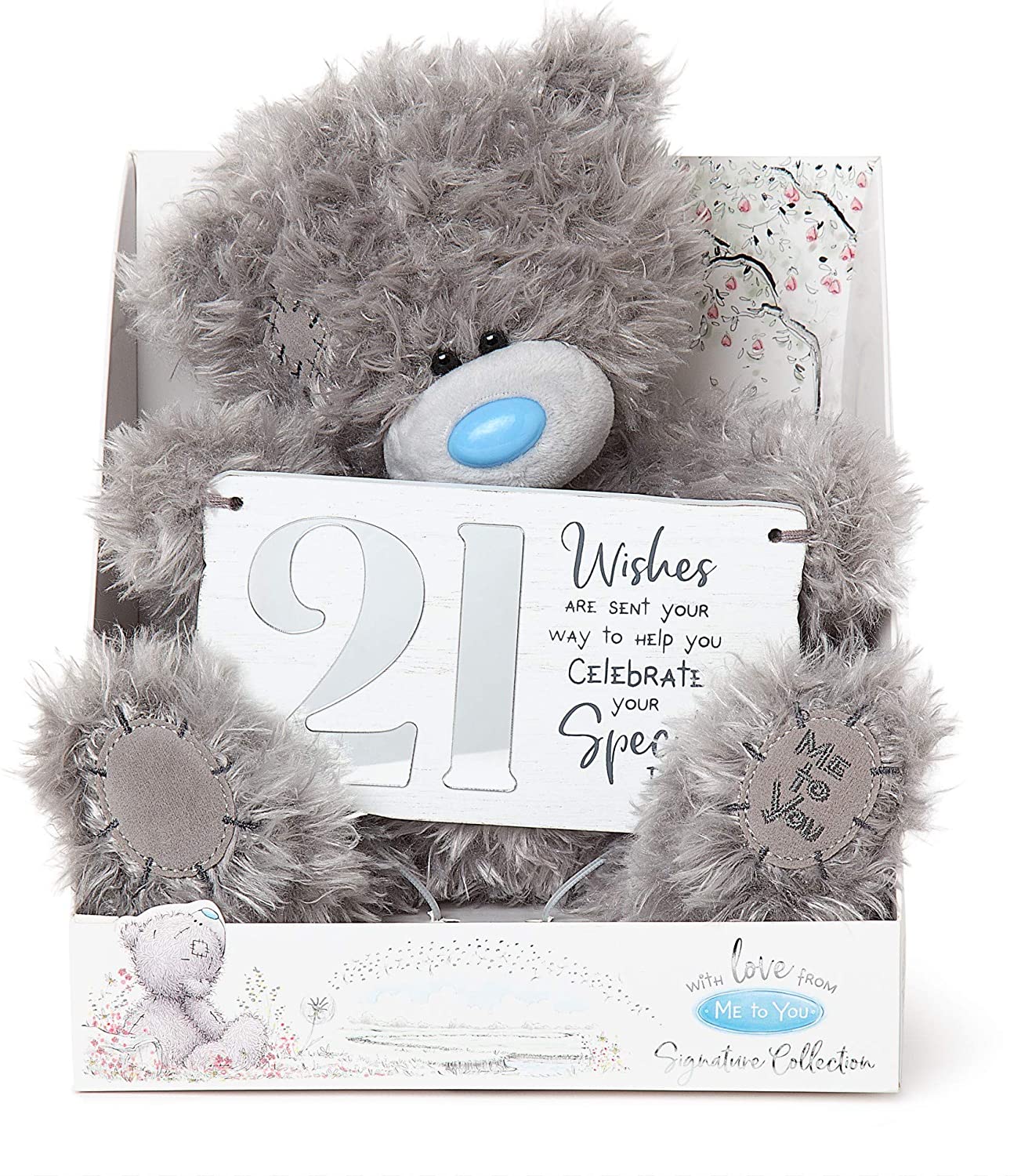 Tatty Teddy With 21st Birthday Plaque Me to You Bear