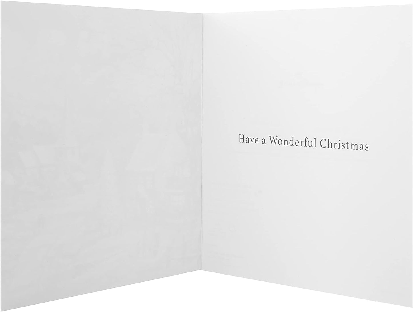 2 Festive Scene Designs Pack of 16  Charity Christmas Cards 