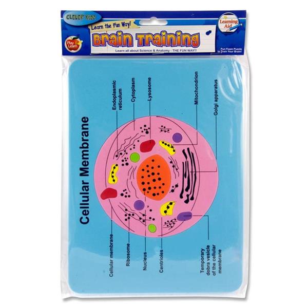 Brain Training Foam Puzzle of Cellular Membrane by Clever Kidz