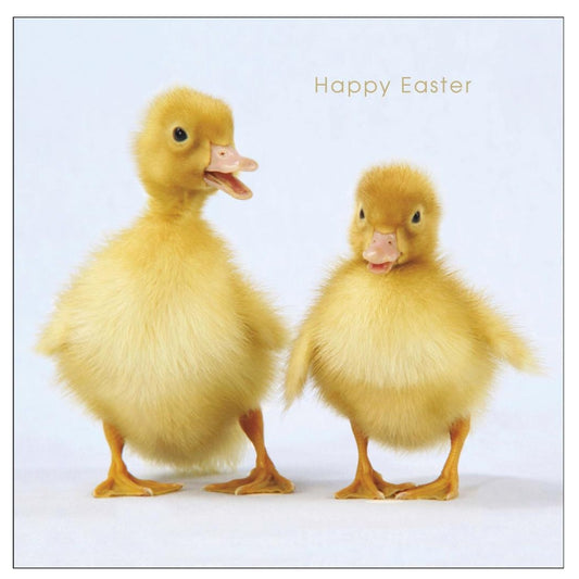 Camden Photographic Cute Chicks Foil Finished Easter Card 