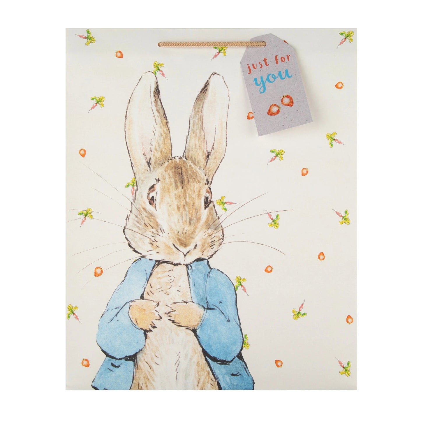 Cute Peter Rabbit Design Large Multi-Occasion Gift Bag for Kids Birthdays, Christening