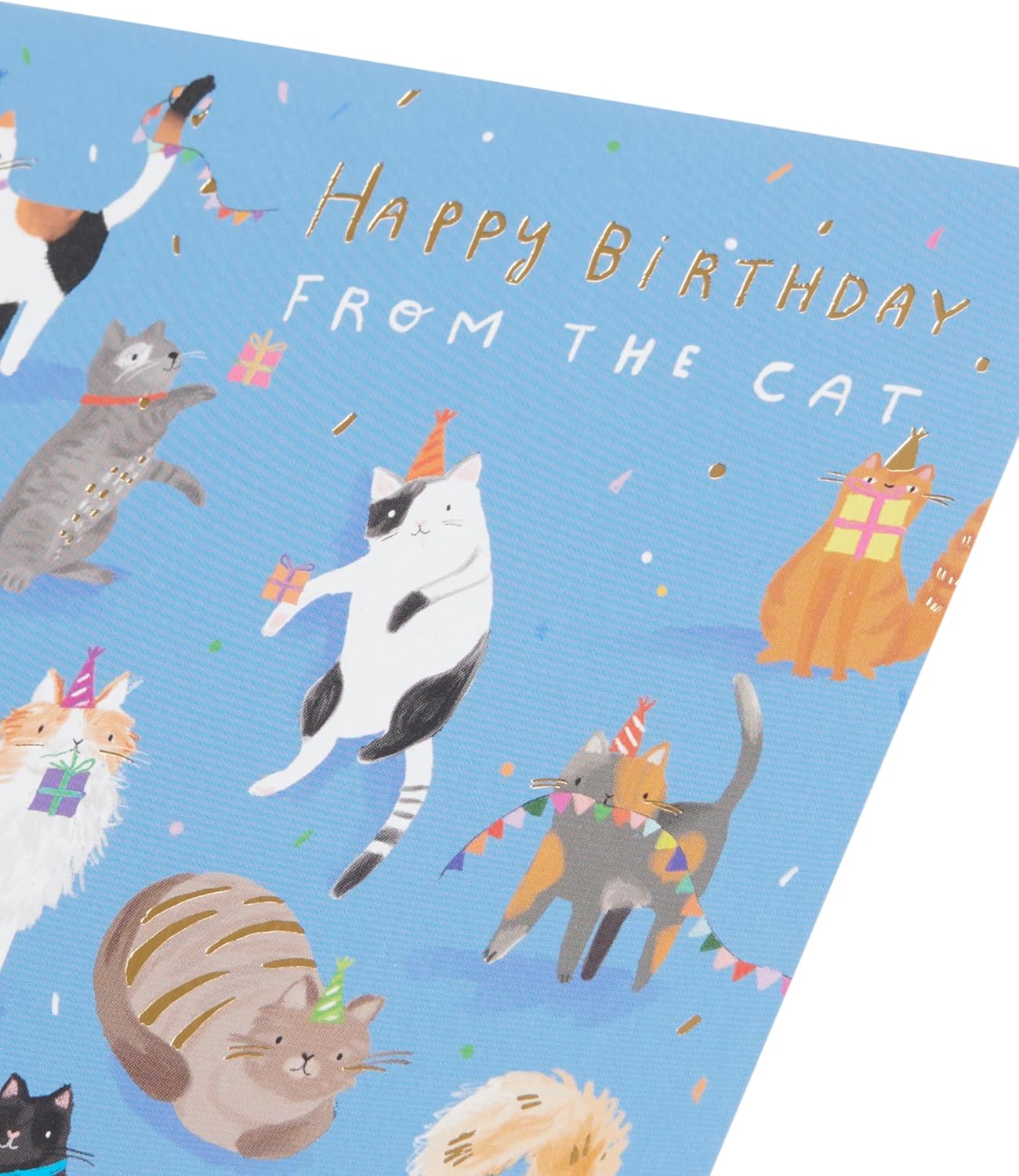 From The Cat Cute Design Birthday Card