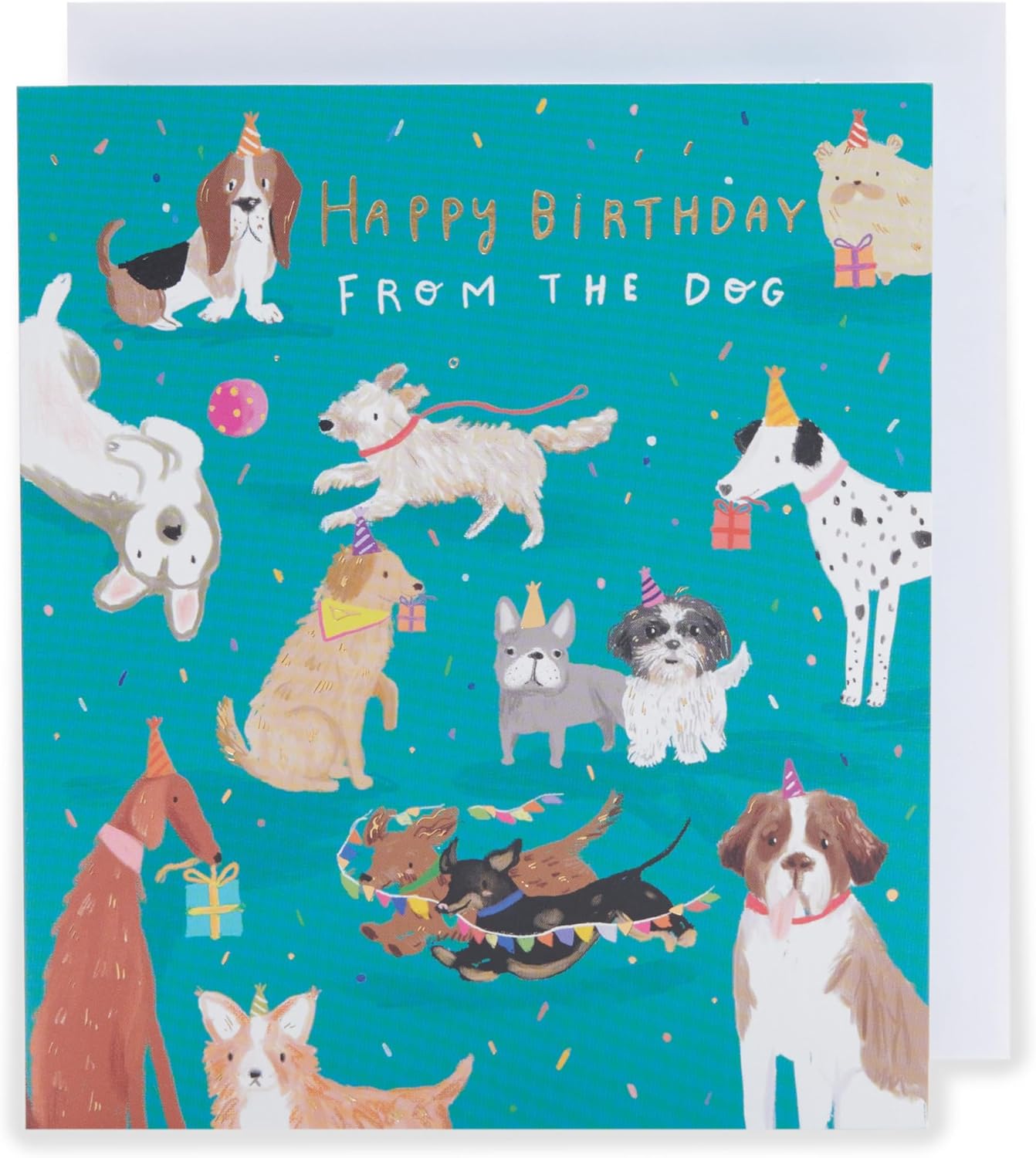 From The Dog Cute Design Birthday Card