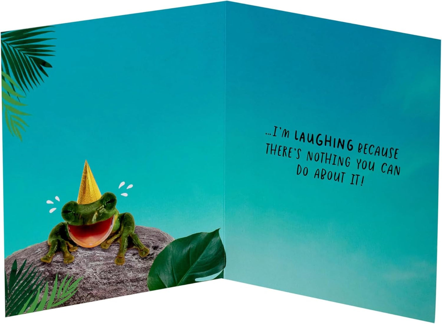 Funny Smiling Frog Design Friend Birthday Card