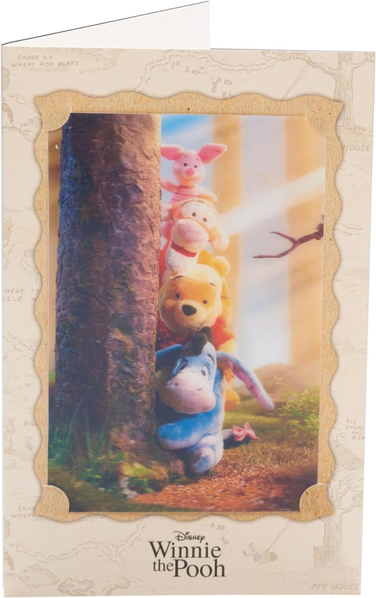 Disney Winnie the Pooh Birthday Card With 3D Keepsake