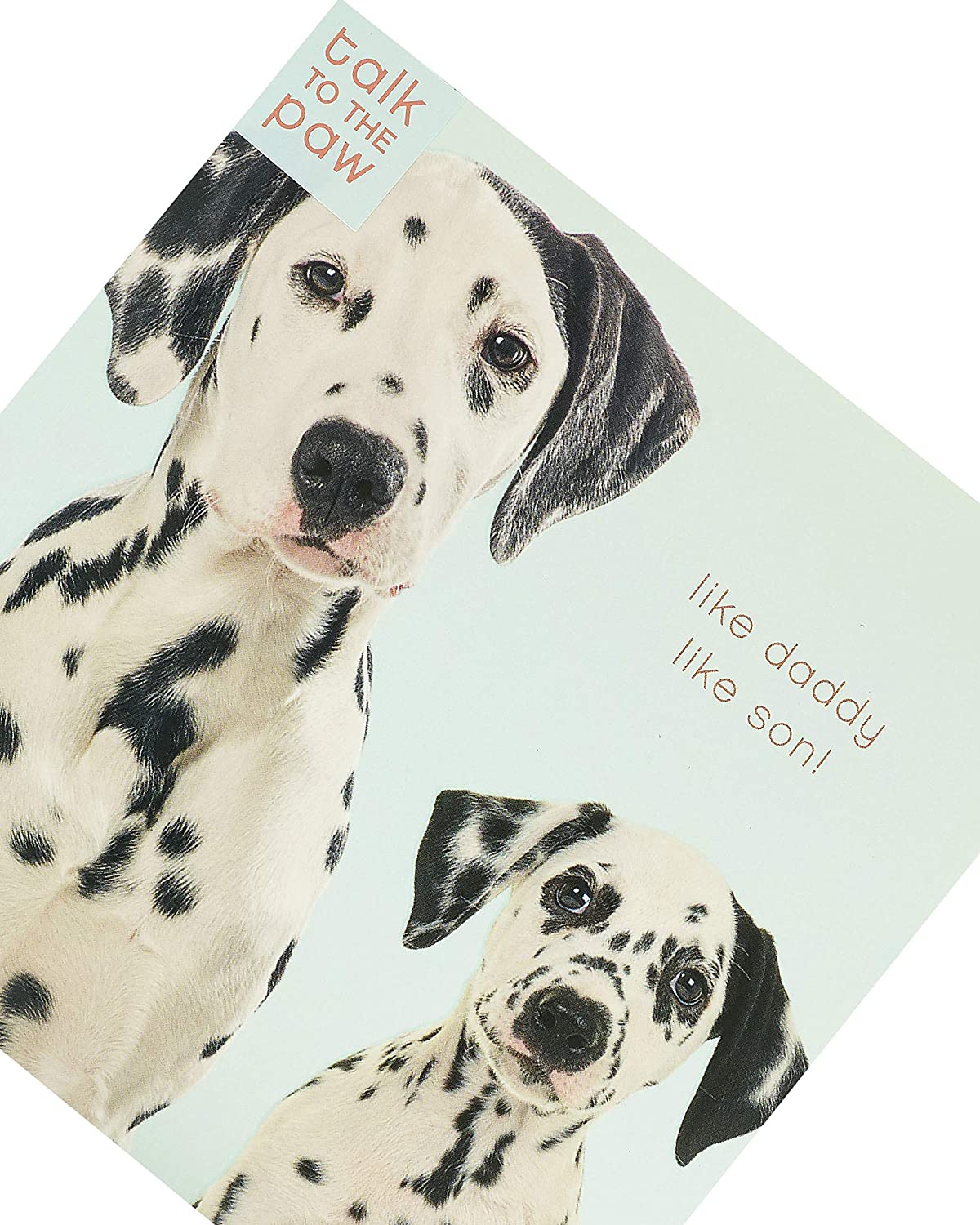 Daddy From Son Dalmation Father's Day Card Like Daddy Like Son 