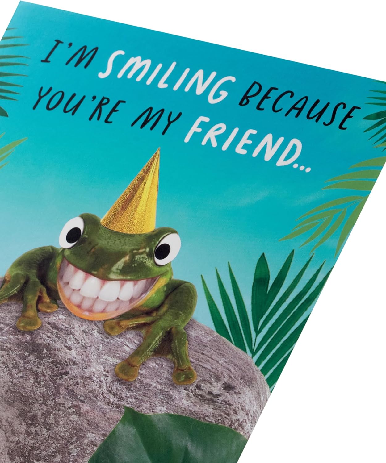 Funny Smiling Frog Design Friend Birthday Card