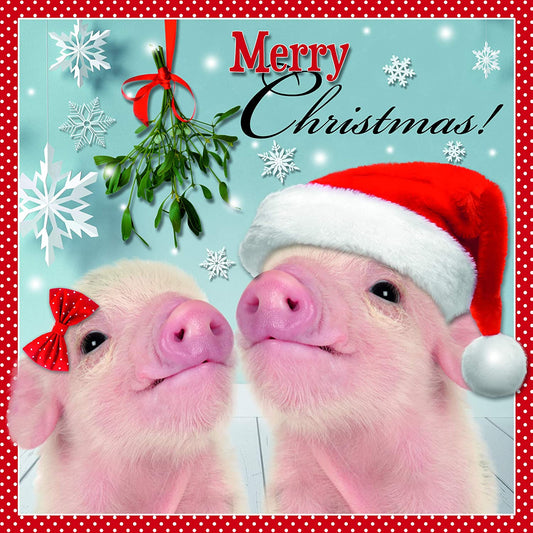 Piglets Wearing Santa Hats Design Me to You Christmas Card