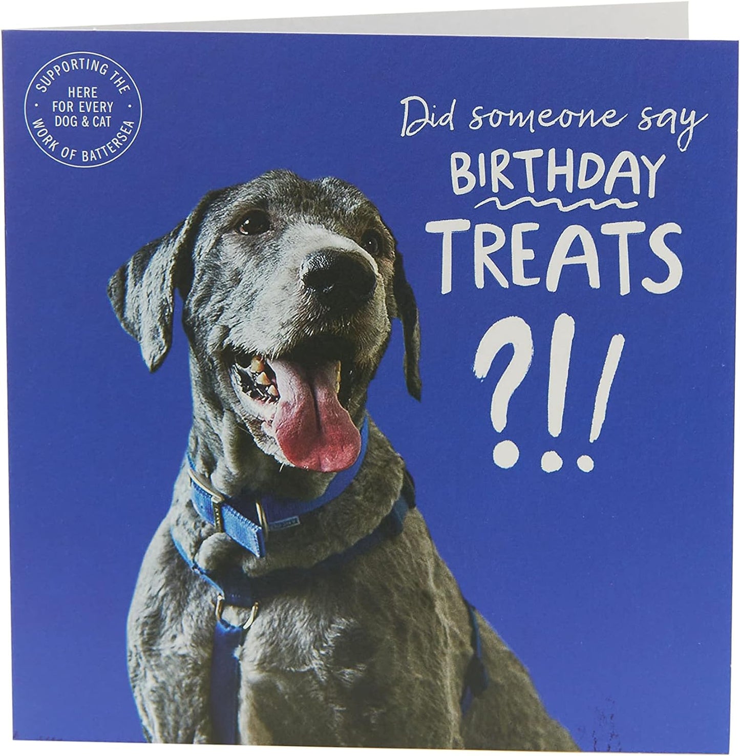 Battersea Cats and Dogs Birthday Blank Card 