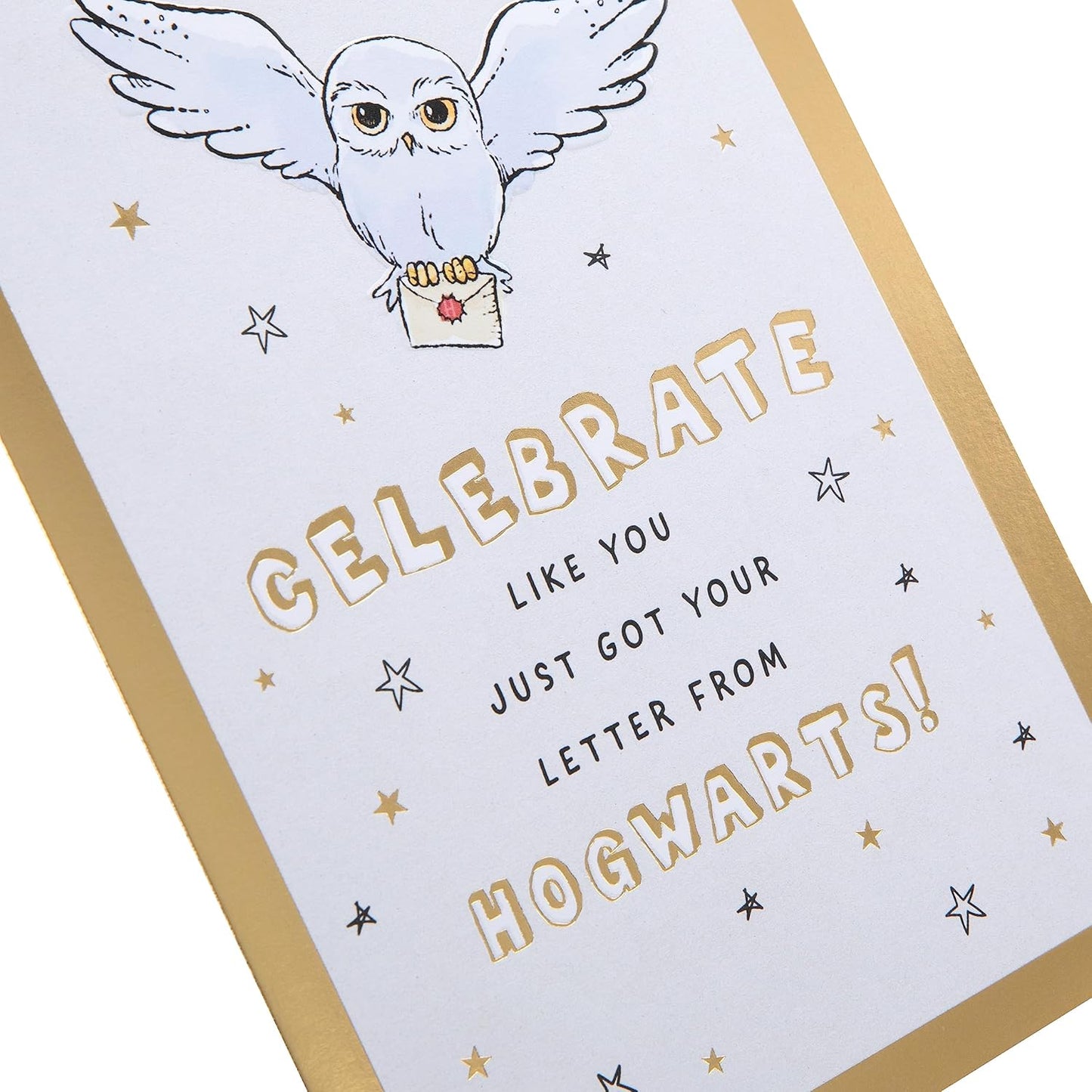 Harry Potter Hedwig Owl & Letter Design Birthday Card