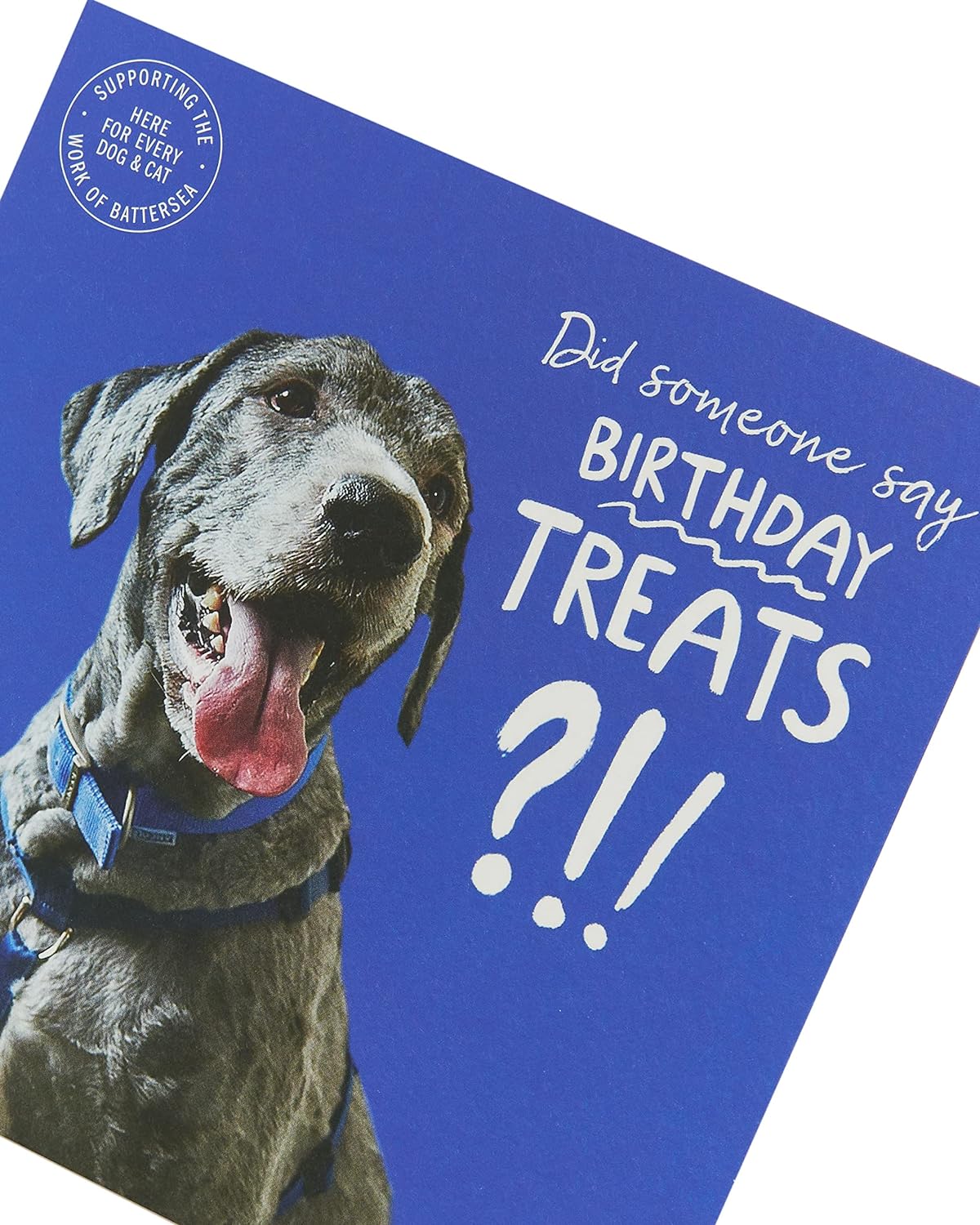 Battersea Cats and Dogs Birthday Blank Card 