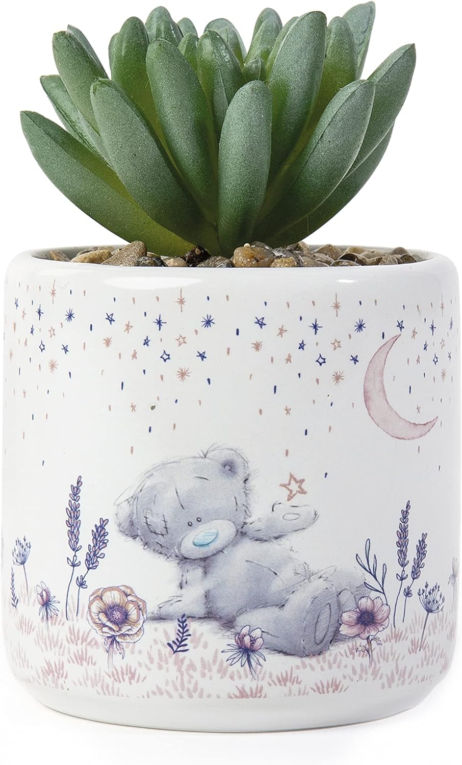 Me to You Tatty Teddy Artificial Succulent in Moon and Stars Plant Pot