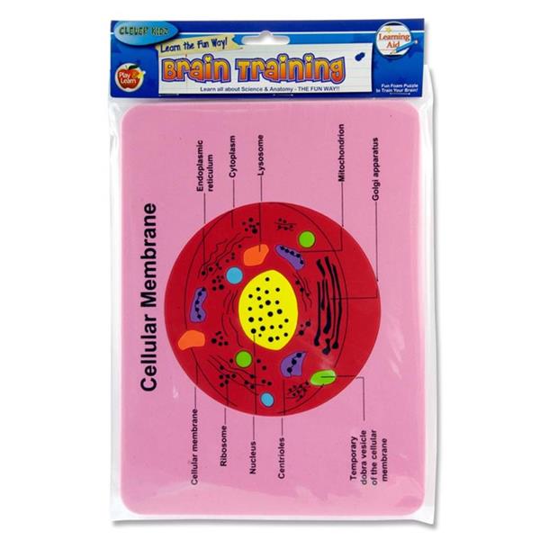 Brain Training Foam Puzzle of Cellular Membrane by Clever Kidz